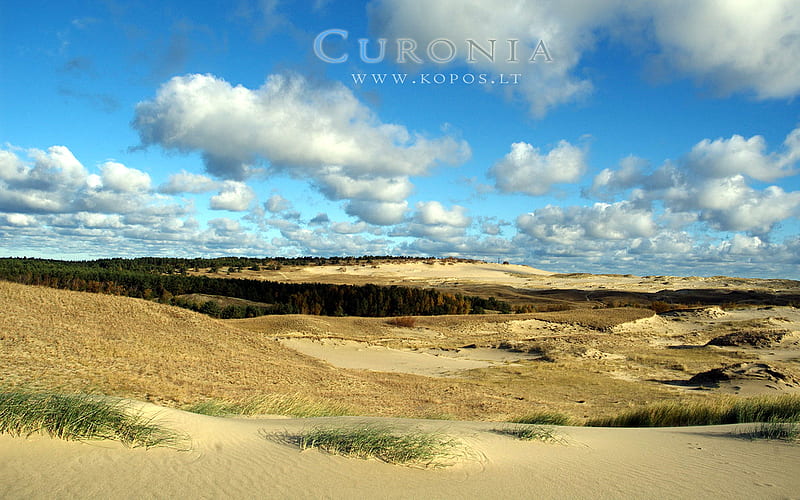 Mosaic of dunes in Curonia, world, lithuanian, kurische, national, curonia, bonito, magic, neringa, valley, spit, sand, dunes, cultural, heritage, fabulously, list, nehrung, legend, beauty, harmony, unesco, kopos, strict, curonian, unique, park, sahara, reserve, nature, landscape, HD wallpaper