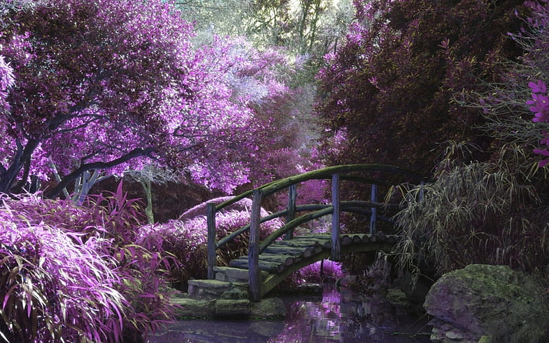 Lavender Blossoms, wooden bridge, rock, lavender, trees, pond, water, purple, bridge, plants, blossoms, logs, Spring, HD wallpaper