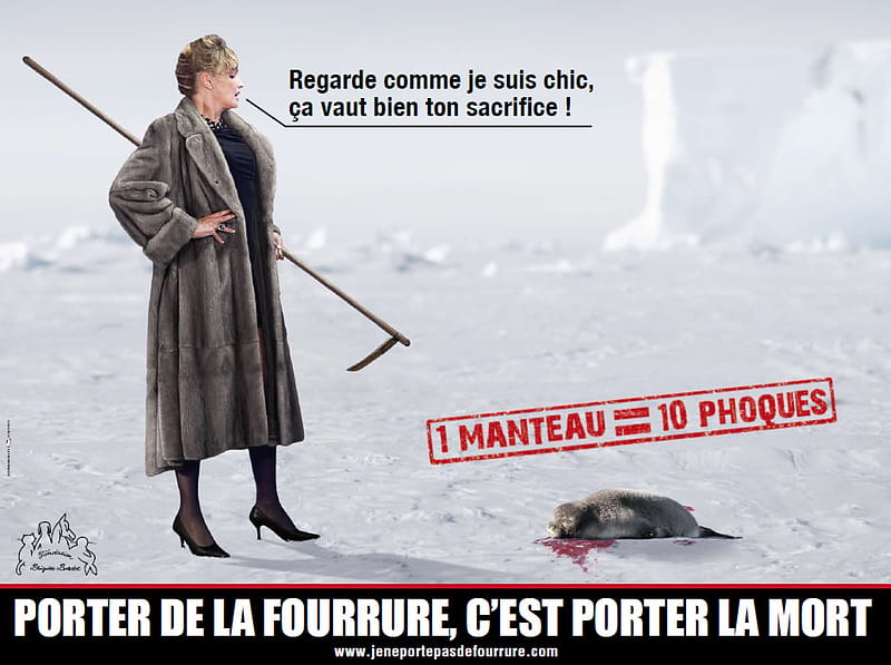Protection of animals with fur, advertising campaign, peta, protection, baby, animal rights, blood, animal, seal, france, fur, animals, HD wallpaper