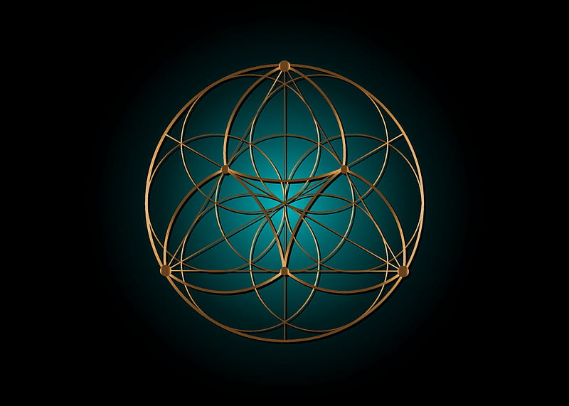 Seed Flower of life lotus icon, yantra mandala sacred geometry, golden symbol of harmony and balance. Blue color Mystical talisman, gold lines vector isolated on black background 6068270 Vector Art at Vecteezy, HD wallpaper