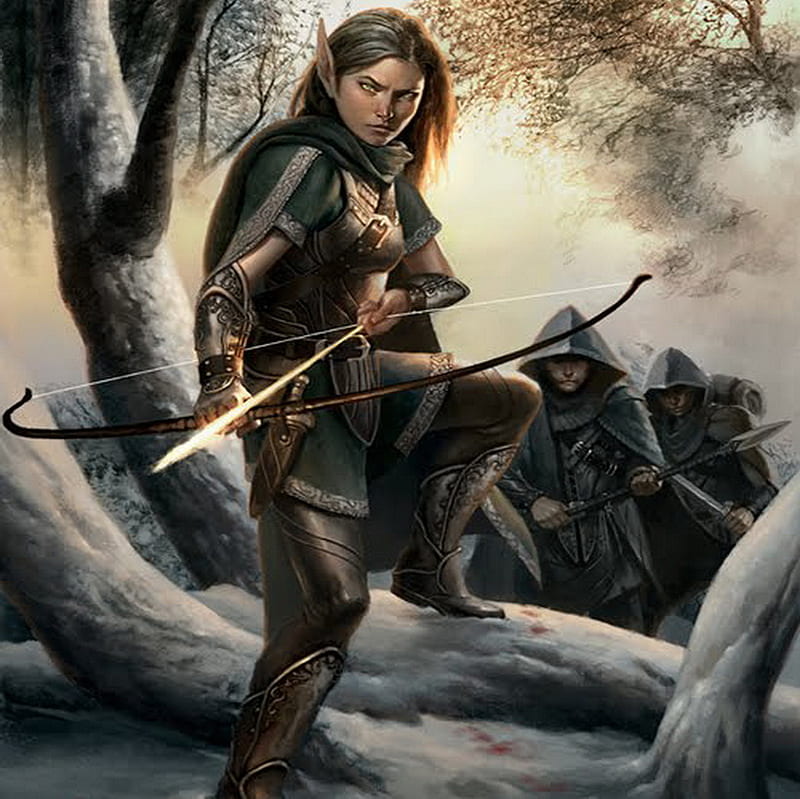 Elves Trackers, forest, warriors, girl, elves, archer, HD wallpaper
