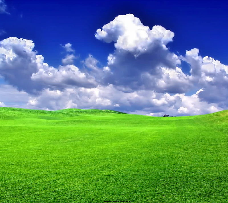 Field, clouds, grass, landscape, nature, sky, HD wallpaper | Peakpx
