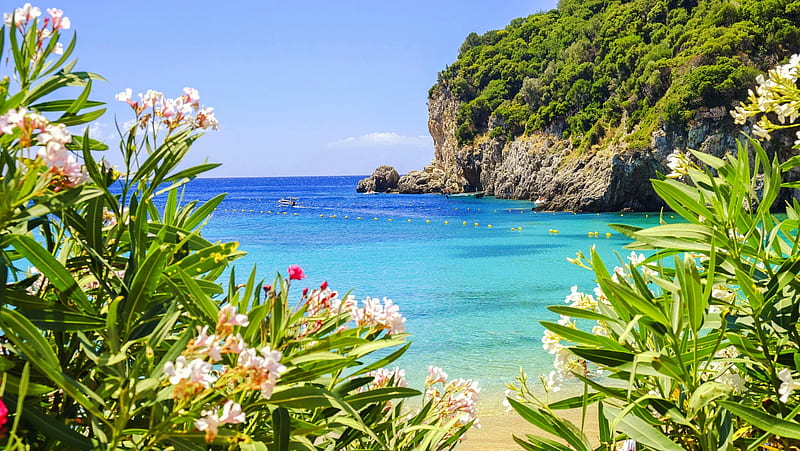 Corfu, Greece, sea, rocks, vacation, exotic, Corfu, view, bonito, sky, beach, Greece, summer, flowers, coast, HD wallpaper