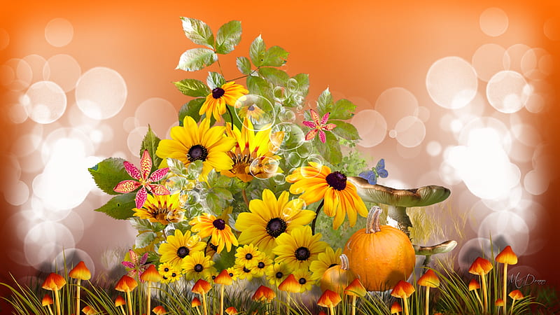 Fall Flowers, pumpkin, flowers, butterflies, mushrooms, fall, toadstools, autumn, floral, daisies, bokeh, bouquet, HD wallpaper
