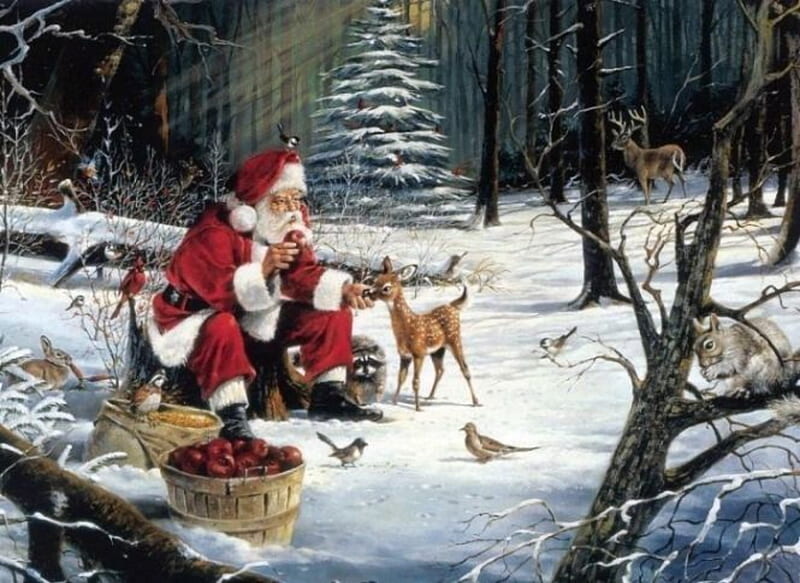 Santa Feeding Animals, Trees, Basket, Squirrel, Snow, Fantasy, Santa, Hat, Animals, Deer, HD wallpaper