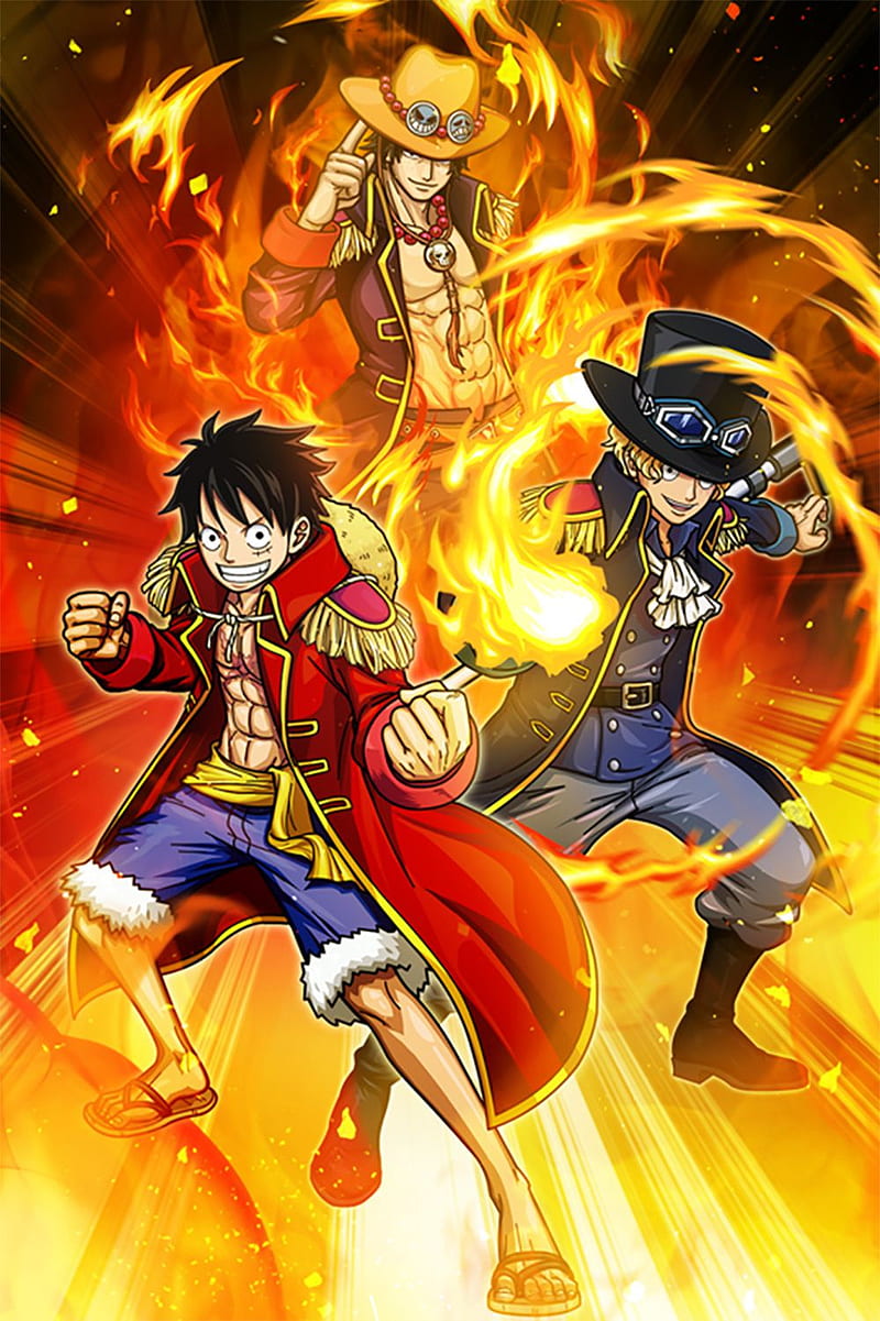 One Piece, ace, luffy, sabo, HD phone wallpaper