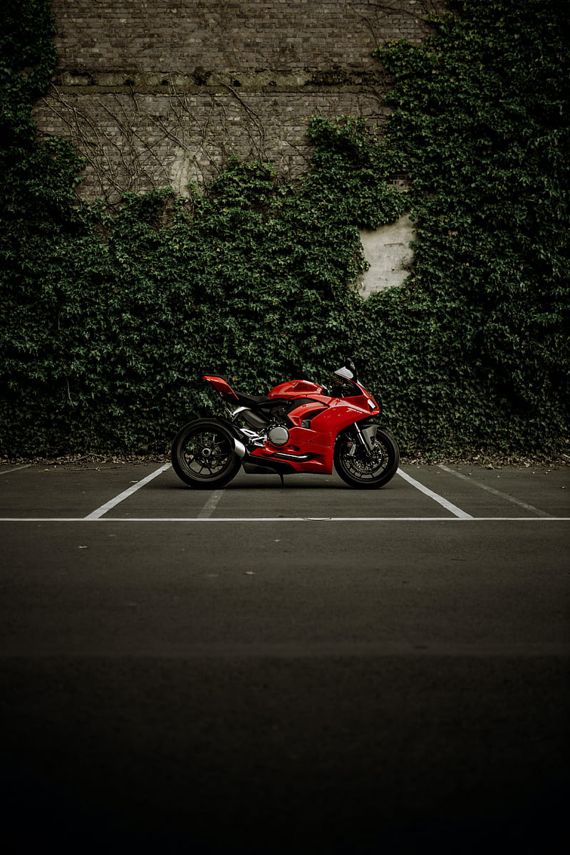 ducati panigale v2, ducati, motorcycle, bike, red, HD phone wallpaper