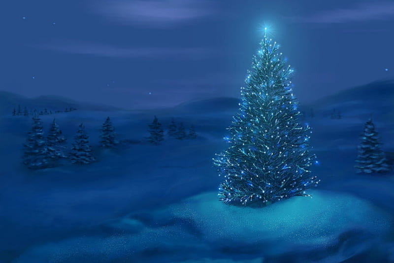 Winter Night, blue, christmas, dark, HD phone wallpaper