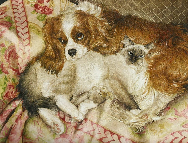 Puppy and kitten, feline, kitten, cannie, puppy, HD wallpaper