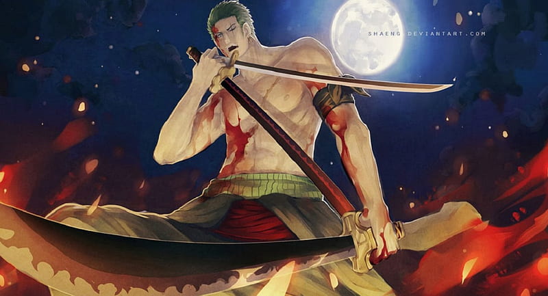 Zoro Santoryuu Haki by SKETCH-KING on DeviantArt