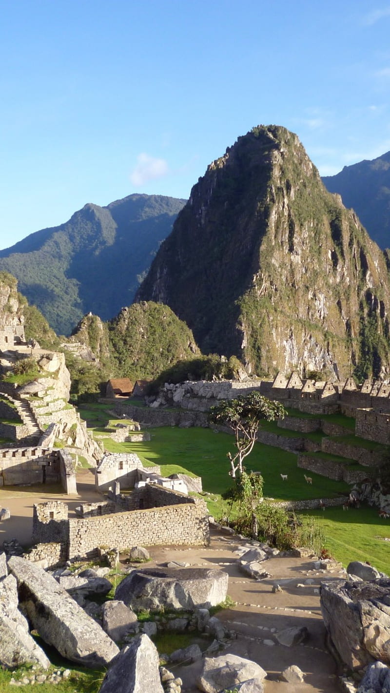 Machu Picchu Peru, machu picchu, HD phone wallpaper