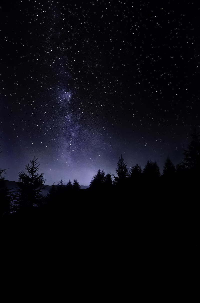 pine trees under starry sky, HD phone wallpaper