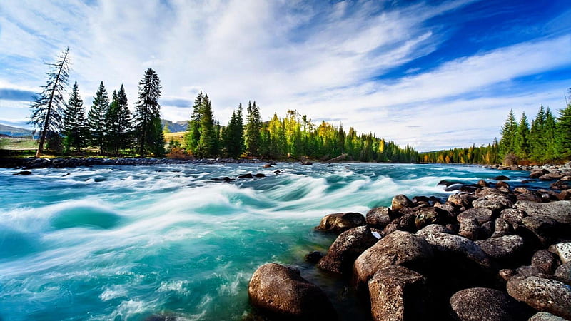 wonderful rapid river, rocks, rapids, river, trees, clouds, HD wallpaper