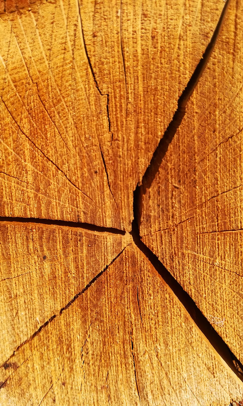 Wood, 69, brown, HD phone wallpaper