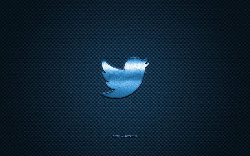 Twitter, social media, Twitter blue logo, blue carbon fiber background, Twitter logo, Twitter emblem, HD wallpaper