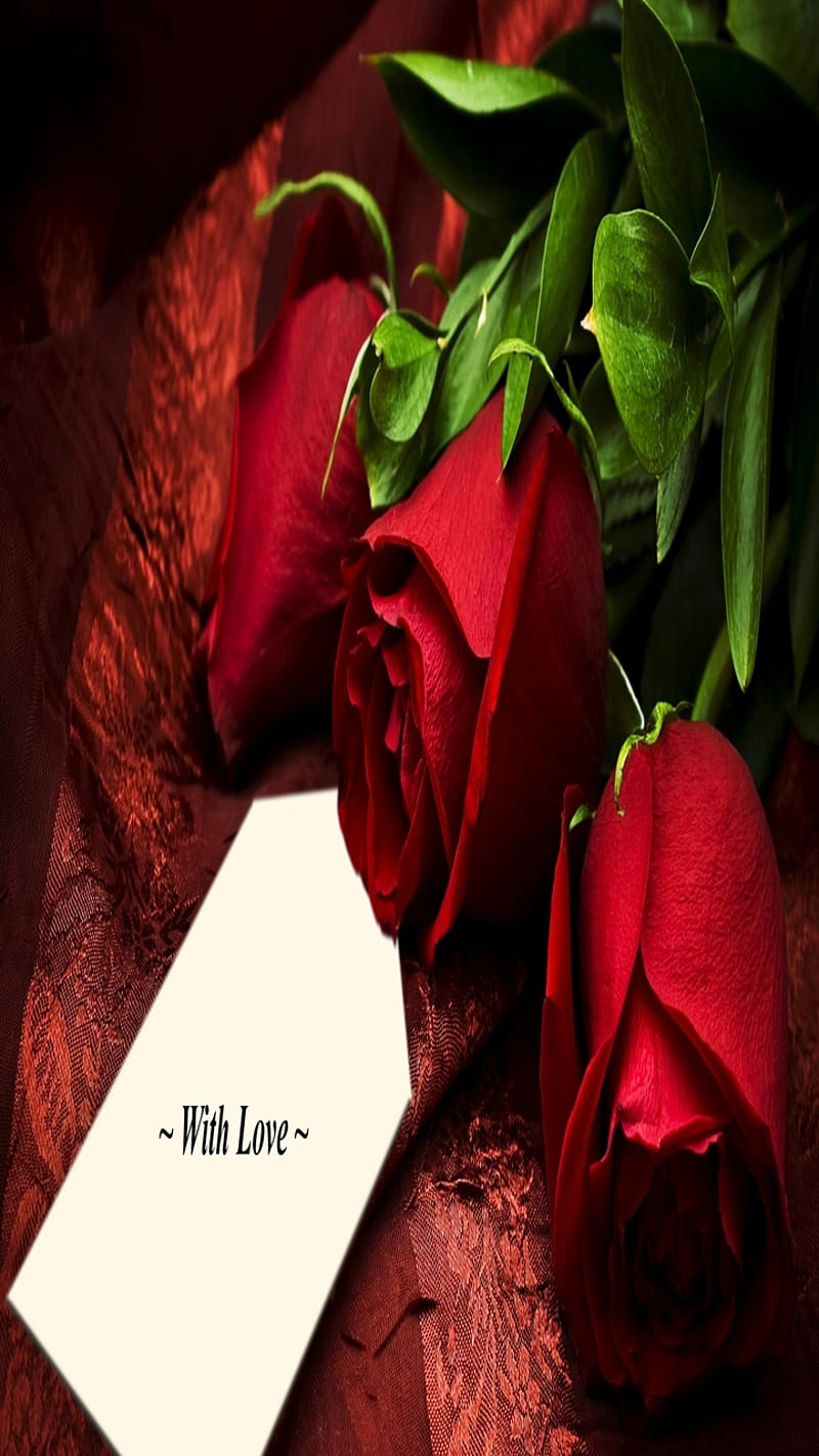 love roses, always, couple, feelings, gift, heart, love, nice, romance, roses, HD phone wallpaper