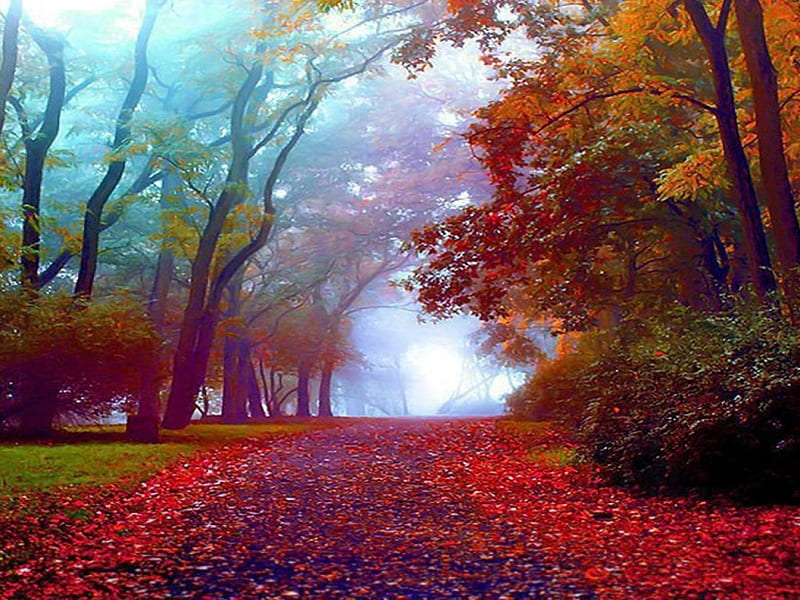 And more beautiful autumn, more, autumn, bonito, HD wallpaper | Peakpx