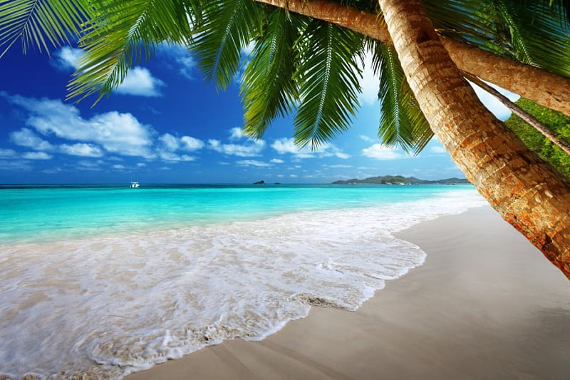 Tropical Paradise, beach, sand, emerald, tropical, sky, coast, sea ...