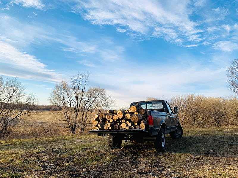 black single cab pickup truck with brown wood logs, HD wallpaper