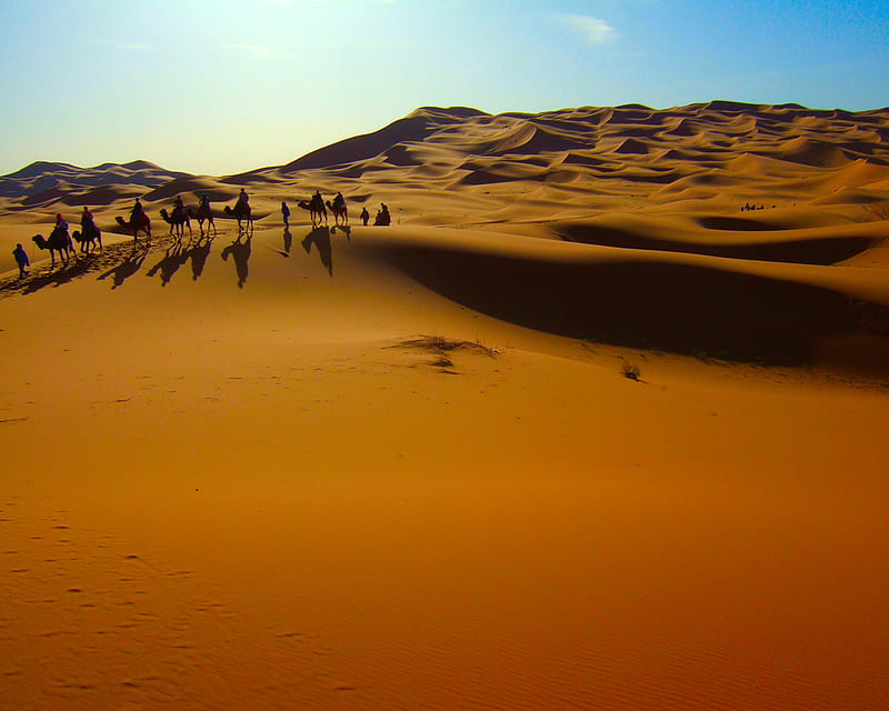Desert crossing, hills, desert, riders, golden, shadow, bonito, gold, sand, dunes, men, camels, animals, HD wallpaper