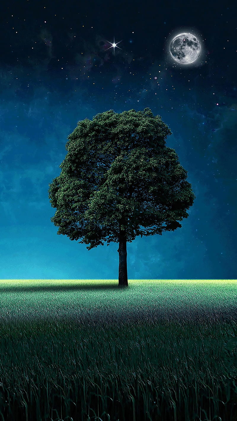 Tree, beauty nature, grass, moon, night, s7, s8, stars, HD phone wallpaper