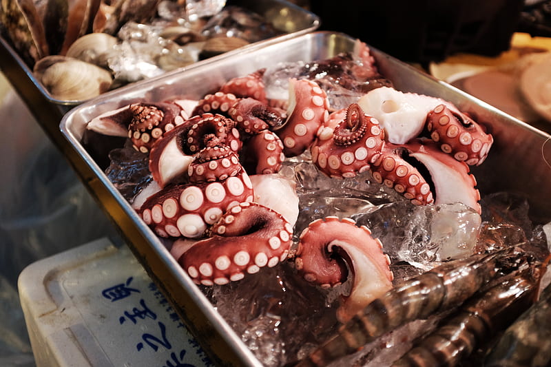 octopus on gray tray, HD wallpaper