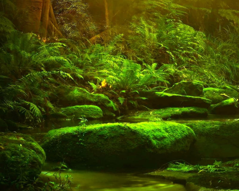 Fairy Tale Land, moss, forest, green, stone, HD wallpaper