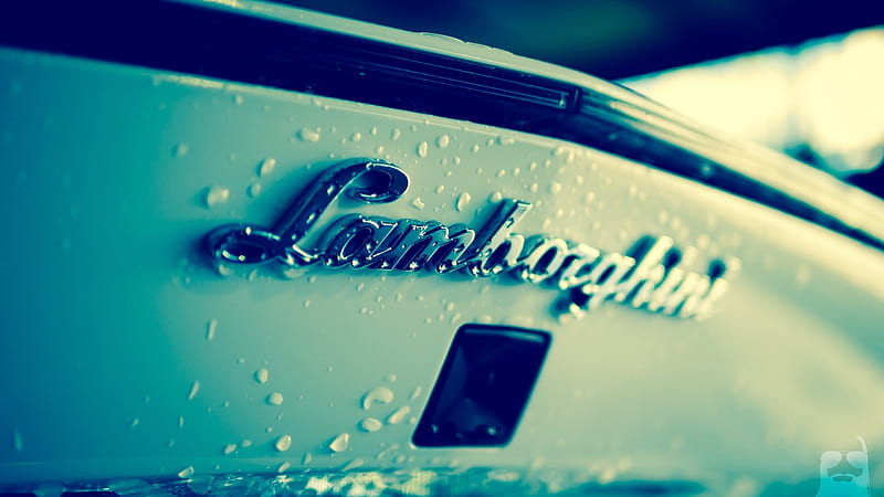 Lamborghini Logo, lamborghini, logo, carros, HD wallpaper
