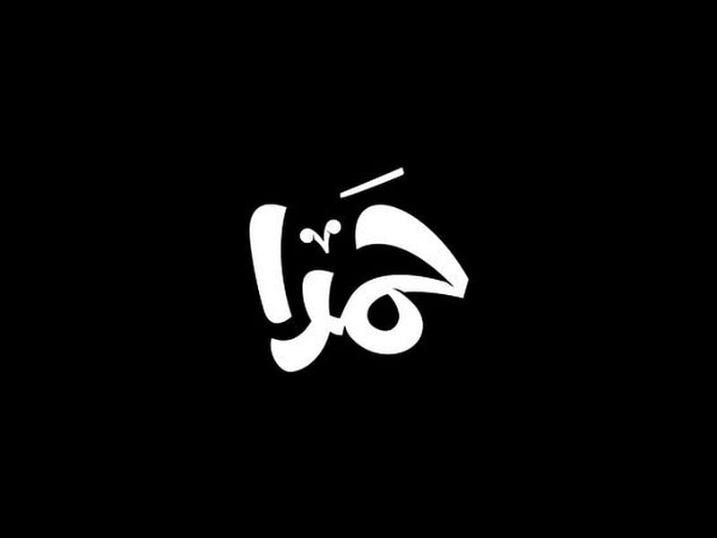 hamra, arabic, deer, logo, logos, mouse, rock, world, HD wallpaper
