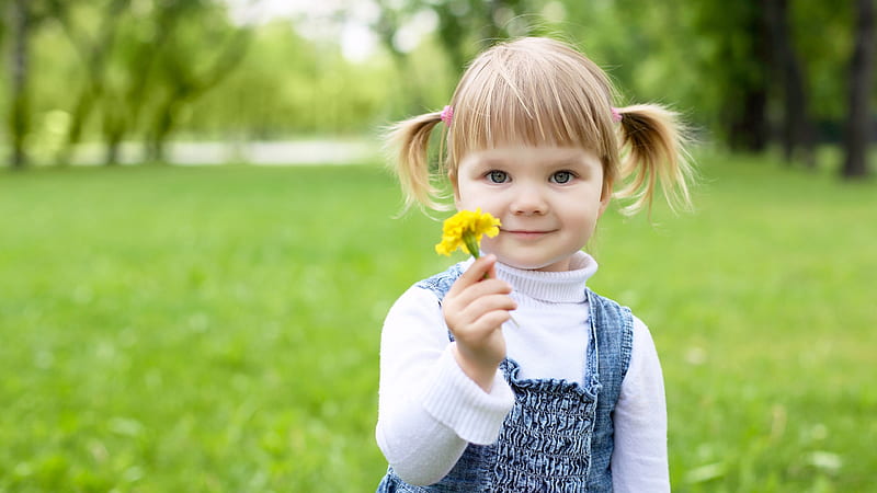 Beautiful Cute Little Girl With Yellow Flower In Green Grass Background Is Wearing White Blue Dress Cute, HD wallpaper