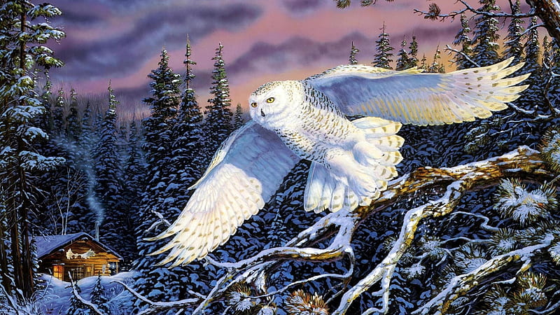 forests-owls-paintings-snow-snowy-owl, Schnee, Eule, Deutschland, Winter, HD wallpaper