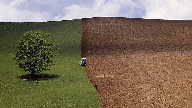 perfect spring ploughing, tree, tractor, fields, hill, ploughing, HD wallpaper