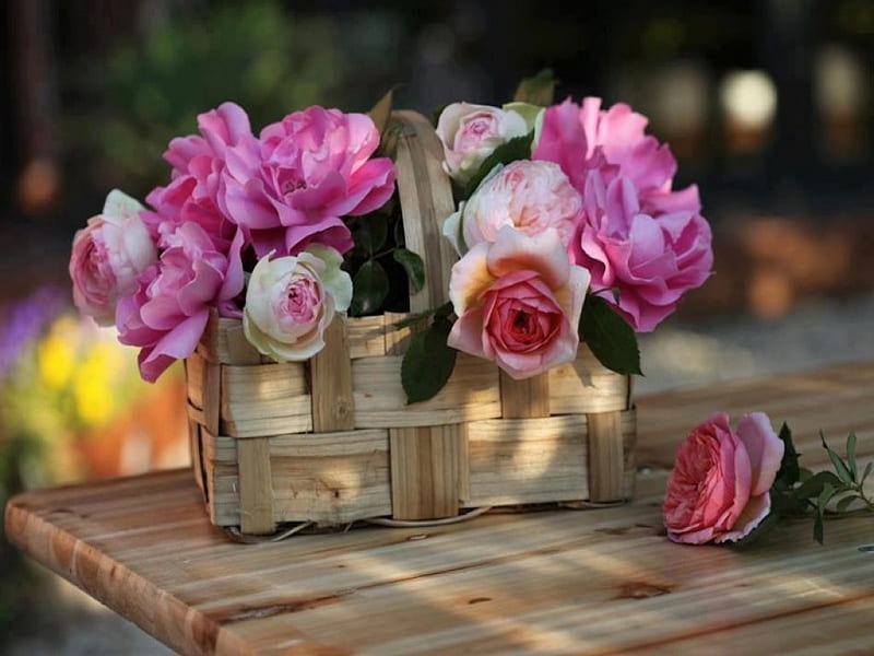Basket of Pretty Pink Roses, pretty, bouquet, rose, basket, flower, cuttings, arrangement, pink, HD wallpaper