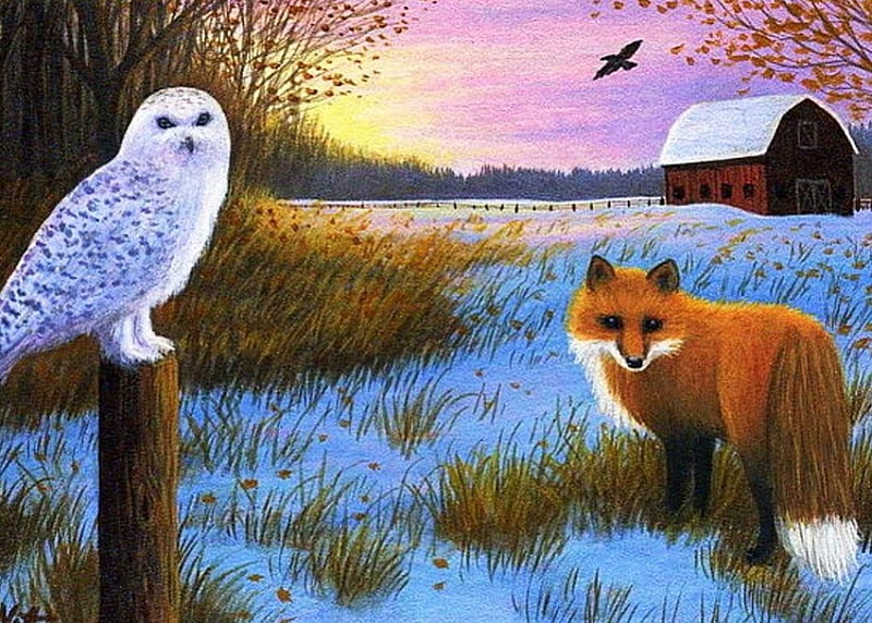 First Winter Days, owl, szbset, fox, snow, barn, landscape, HD wallpaper