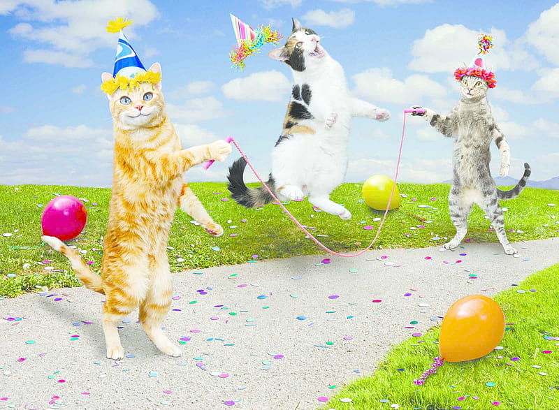 Jumpcats, cat, fantays, birtay, animal, hat, balloon, fantasy, green, party, john lund, pisica, HD wallpaper
