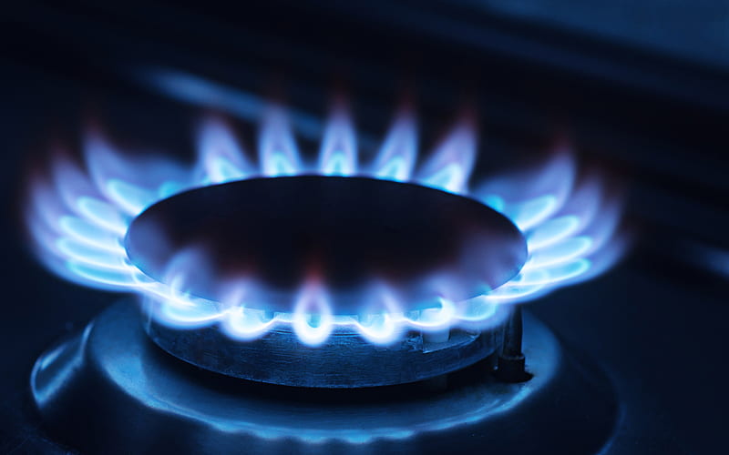 blue gas flame, blue fire, gas concepts, gas burner, blue flame, HD wallpaper