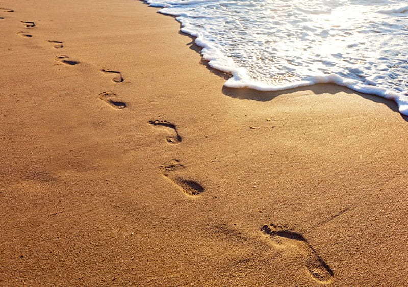 Footprints On The Sand, beach, sand, footsteps, sea, footprint, HD wallpaper