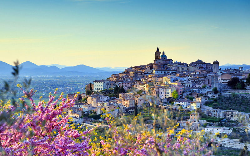 Almond Perugia district Umbria Italy 2021 Bing Theme, HD wallpaper