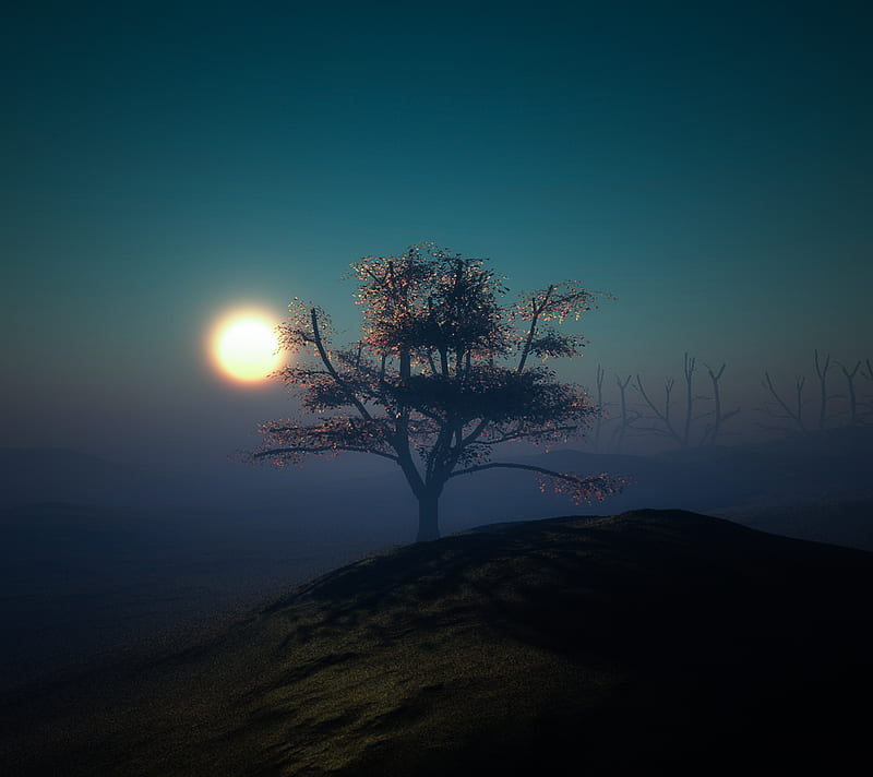 Dawn, hill, lights, night, sunset, tree, HD wallpaper