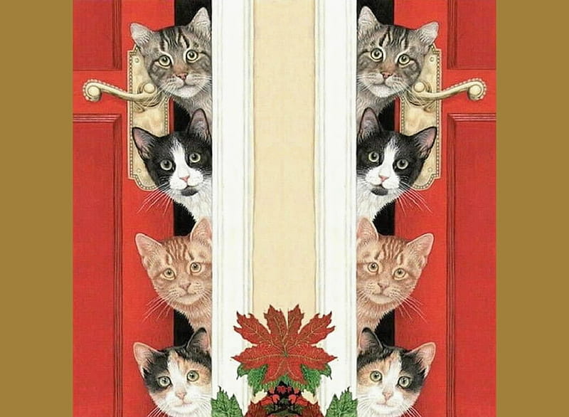 Decor Cat, Mammals, Decor, Cat, Felids, HD wallpaper