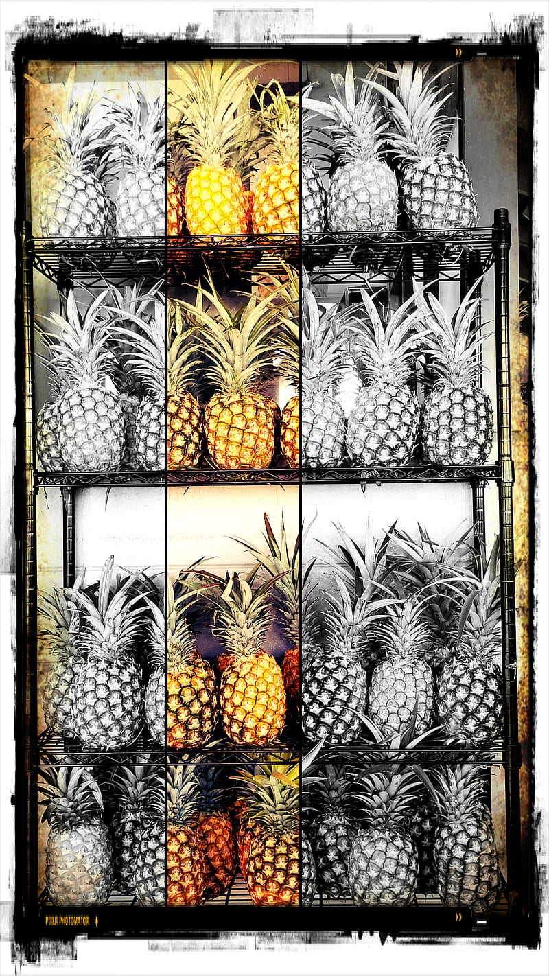 Pineapple Life, pineapples, fruit, fruits, hawaii, HD phone wallpaper