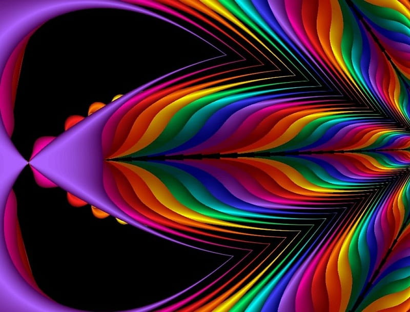 RainboW Feathers , Fractals, Rainbow, Colorful, Abstract, Colors, Feathers, HD wallpaper
