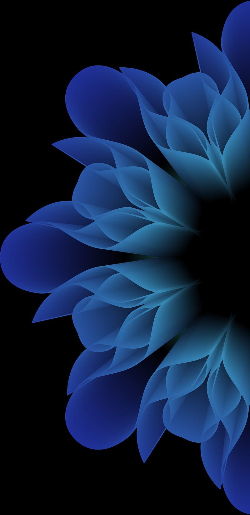 Flower, amoled, android, apple, black, dark, galaxy, ios, iphone, note, samsung, HD mobile wallpaper