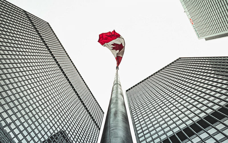 Flag of Canada, Montreal, Canadian flag on flagpole, BMO Bank, skyscrapers,  business centers, HD wallpaper | Peakpx