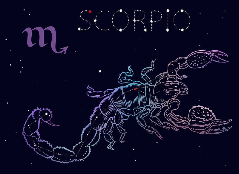 Zodiac ~ Scorpio, zodiac, black, scorpio, golden, scorpion, HD wallpaper |  Peakpx