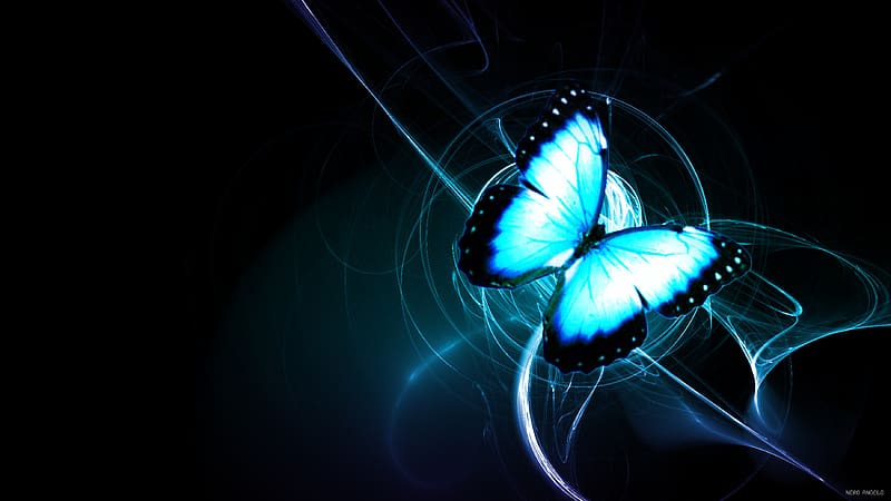 Butterfly, Animal, HD wallpaper | Peakpx