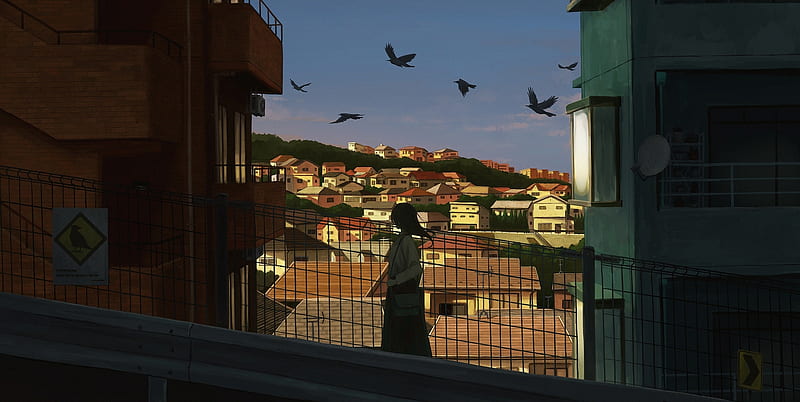 anime cityscape, buildings, anime school girl, stairs, fence, birds, Anime, HD wallpaper