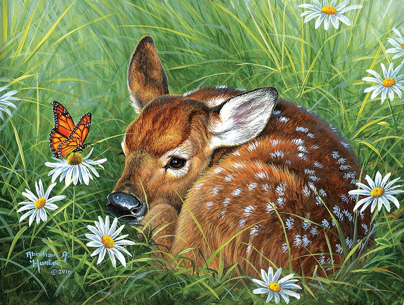 Natural Tranquility, daisies, fawn, butterfly, orange, baby, swallow, white, HD wallpaper