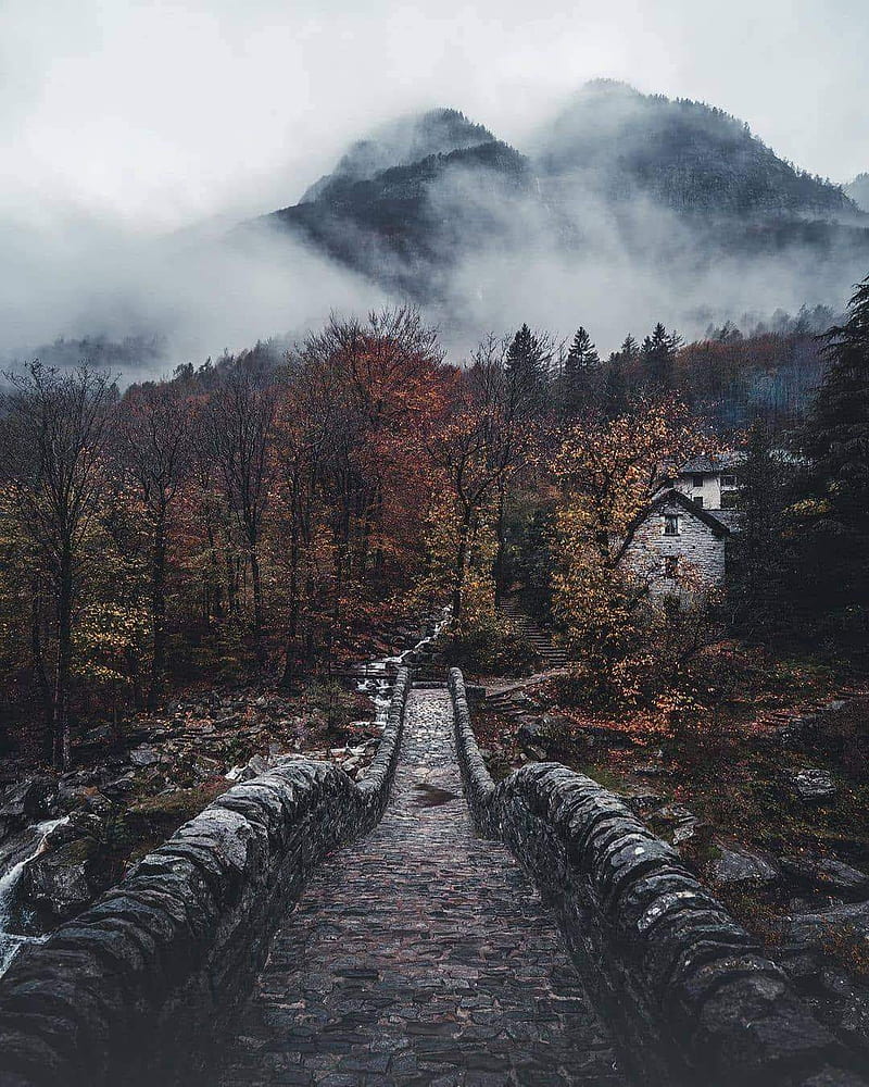 Mountain Fog, dark, fall, fog, mountain, road, HD phone wallpaper