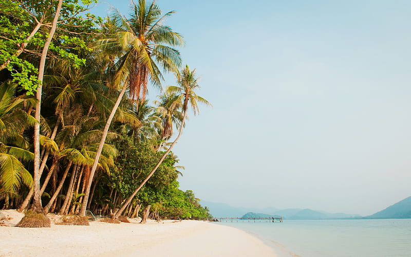 tropical island, palms, beach, Thailand, sea, evening, summer travel, HD wallpaper